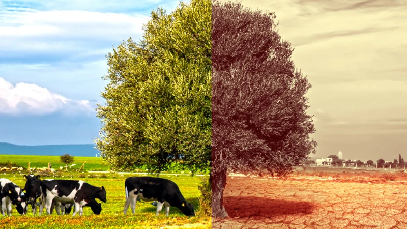 Need for climate research to serve communities better remains intact