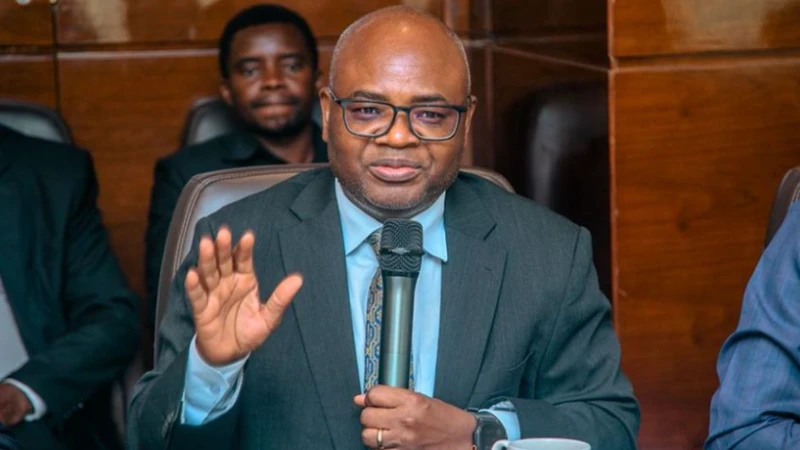 Prof Kitila Mkumbo, Planning and Investment state minister in the President’s Office