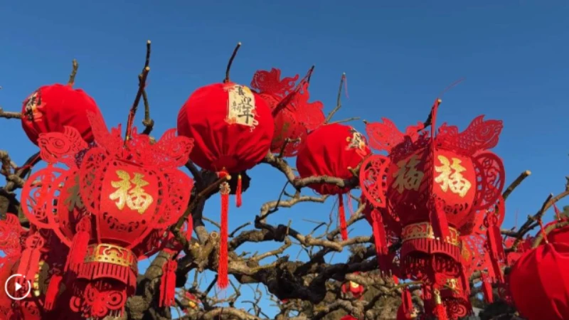 Xinhua Headlines: Four cities, one vision -- China's prosperity has a new geography