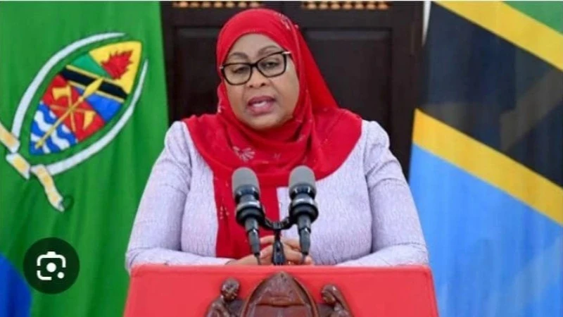 President Samia Suluhu Hassan.