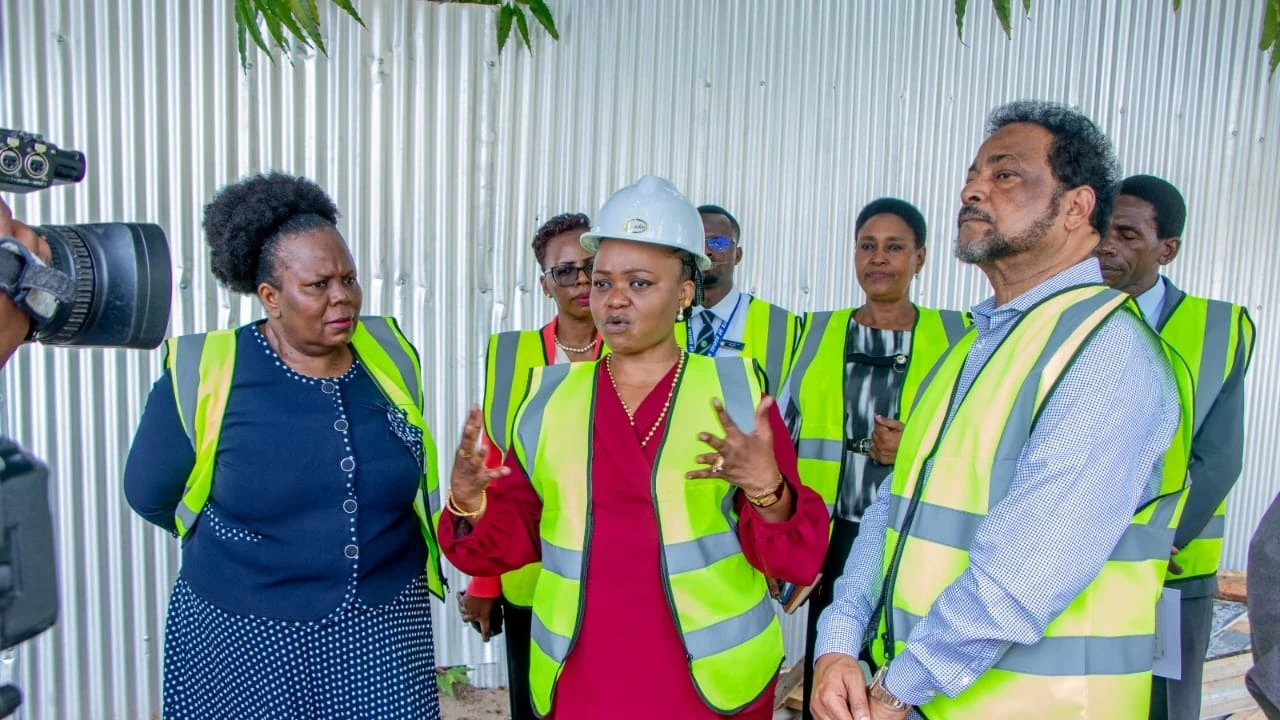 Naibu Waziri wa Maendeleo ya Jamii, Jinsia, Wanawake na Makundi Maalum, Mhandisi Maryprisca Mahundi