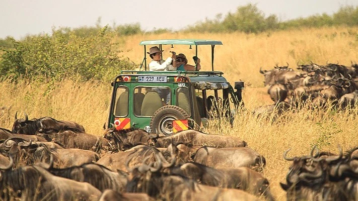 Tanzania attaining nearly 20pc of GDP   from tourism as an economic paradox